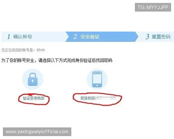 亚星官方平台登录步骤详解让新用户轻松掌握登录技巧