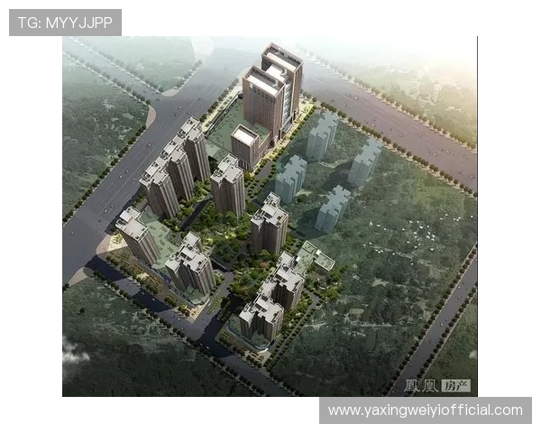 亚星管理网平台官网系统升级与未来发展规划分析