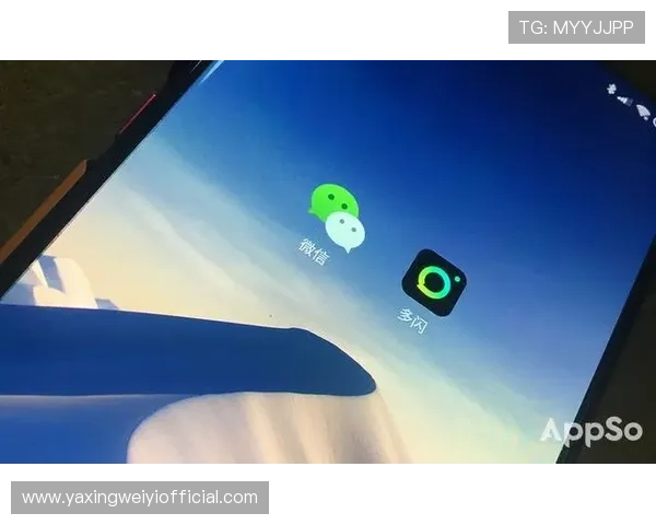 亚星网址管理平台的安全保障措施与用户隐私保护机制 亚星网址管理平台的安全保障措施与用户隐私保护机制